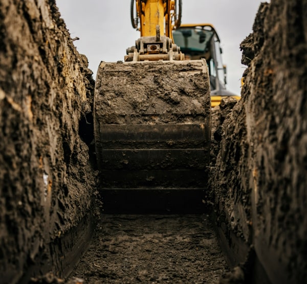 Наша команда